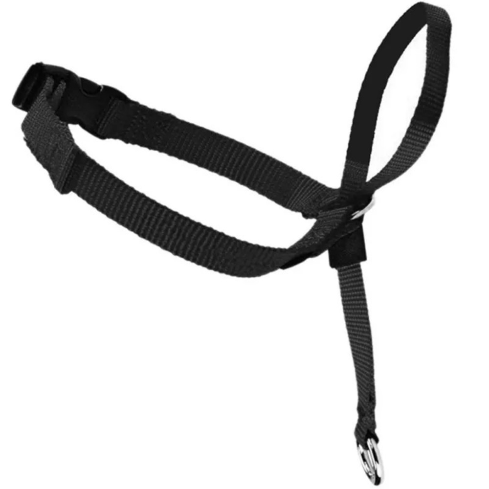 Dog Gentle Leader face harness